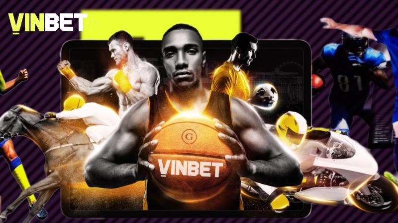 Giới thiệu hoạt động cốt lõi, mang đến nhiều giá trị thiết thực