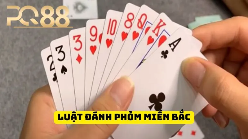Luật Đánh Phỏm Miền Bắc Dễ Hiểu | Tân Thủ Học Trong 3P