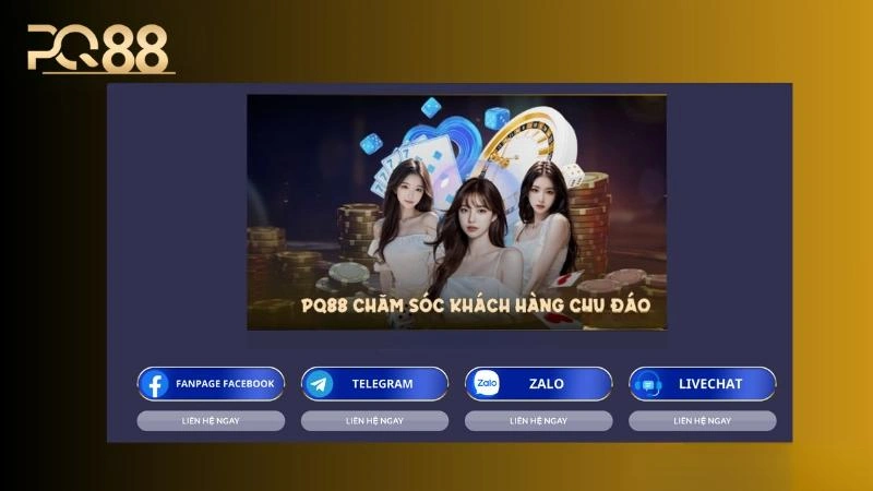 Liên hệ qua email chuyên nghiệp và bảo mật thông tin